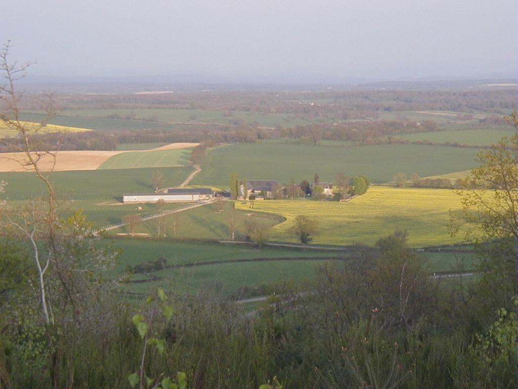 Chambres D'Hotes - Domaine Des Perrieres Crux-la-Ville Kültér fotó
